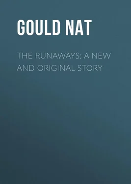 Nat Gould The Runaways: A New and Original Story обложка книги