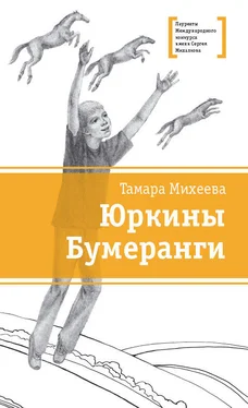 Тамара Михеева Юркины Бумеранги (сборник) обложка книги