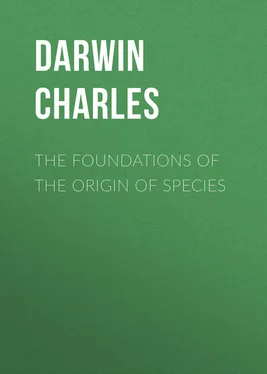 Charles Darwin The Foundations of the Origin of Species обложка книги