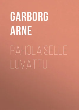 Arne Garborg Paholaiselle luvattu обложка книги