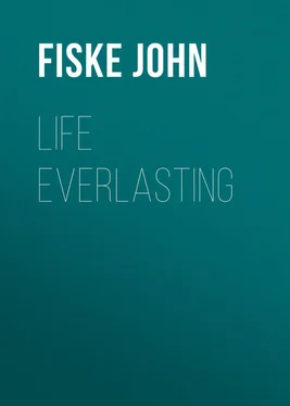 John Fiske Life Everlasting обложка книги