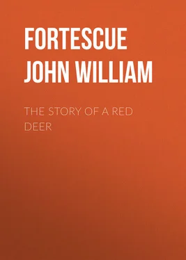 John Fortescue The Story of a Red Deer обложка книги