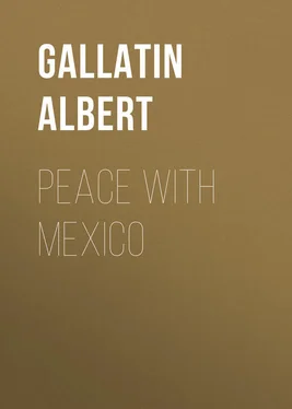 Albert Gallatin Peace with Mexico обложка книги