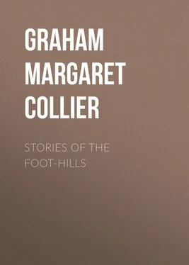 Margaret Graham Stories of the Foot-hills обложка книги