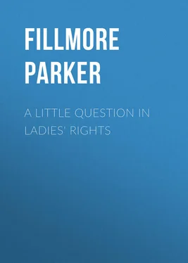 Parker Fillmore A Little Question in Ladies' Rights обложка книги