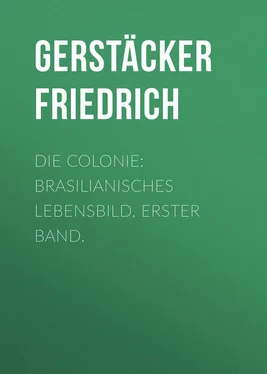 Friedrich Gerstäcker Die Colonie: Brasilianisches Lebensbild. Erster Band. обложка книги