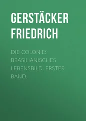 Friedrich Gerstäcker - Die Colonie - Brasilianisches Lebensbild. Erster Band.