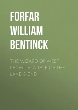 William Forfar The Wizard of West Penwith: A Tale of the Land's-End обложка книги