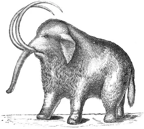 Fig 9 The Mammoth After Jukes This is the mammoth the Elephas - фото 10