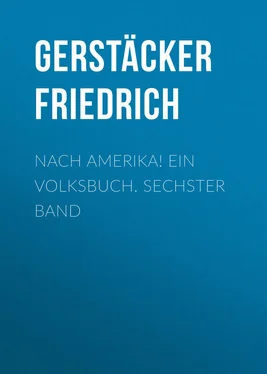Friedrich Gerstäcker Nach Amerika! Ein Volksbuch. Sechster Band обложка книги