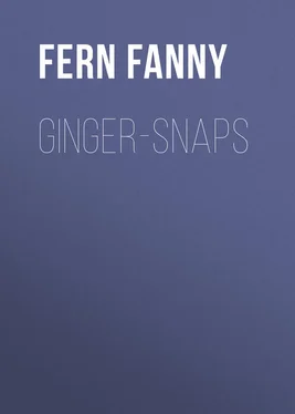Fanny Fern Ginger-Snaps обложка книги