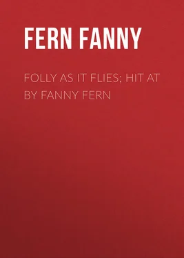 Fanny Fern Folly as It Flies; Hit at by Fanny Fern обложка книги