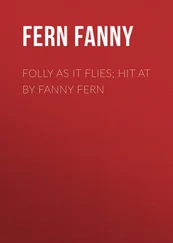 Fanny Fern - Folly as It Flies; Hit at by Fanny Fern