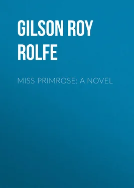 Roy Gilson Miss Primrose: A Novel обложка книги