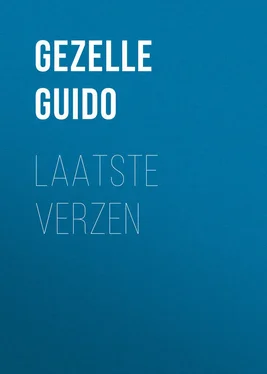 Guido Gezelle Laatste verzen обложка книги