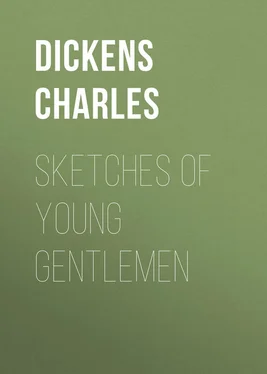 Charles Dickens Sketches of Young Gentlemen обложка книги