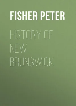 Peter Fisher History of New Brunswick обложка книги