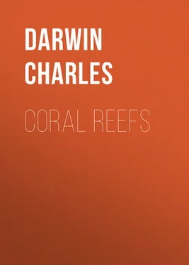 Charles Darwin Coral Reefs обложка книги