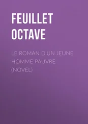 Octave Feuillet - Le roman d'un jeune homme pauvre (Novel)