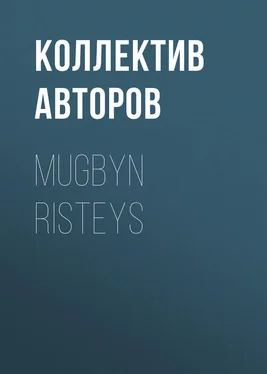 Коллектив авторов Mugbyn risteys обложка книги