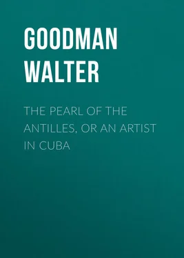 Walter Goodman The Pearl of the Antilles, or An Artist in Cuba обложка книги