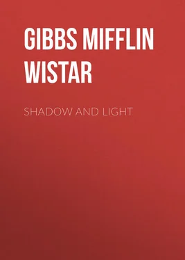 Mifflin Gibbs Shadow and Light обложка книги