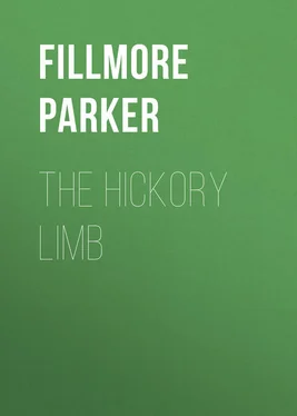 Parker Fillmore The Hickory Limb обложка книги