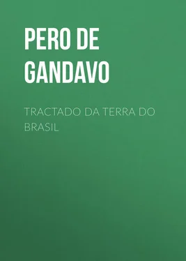 Pero de Magalhães Gandavo Tractado da terra do Brasil обложка книги