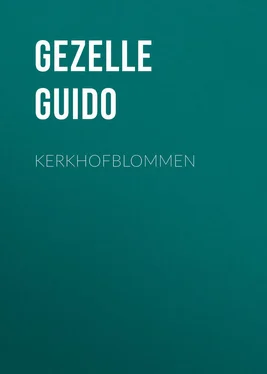 Guido Gezelle Kerkhofblommen обложка книги