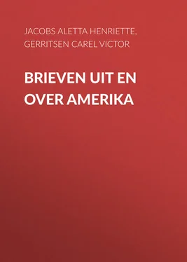 Carel Gerritsen Brieven uit en over Amerika обложка книги