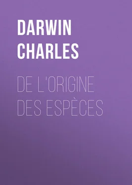 Charles Darwin De l'origine des espèces обложка книги