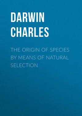 Charles Darwin The Origin of Species by Means of Natural Selection обложка книги