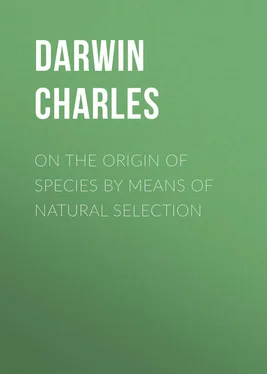 Charles Darwin On the Origin of Species By Means of Natural Selection обложка книги