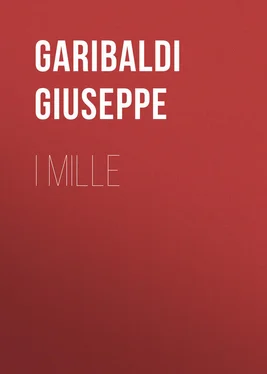 Giuseppe Garibaldi I Mille обложка книги