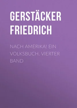 Friedrich Gerstäcker Nach Amerika! Ein Volksbuch. Vierter Band обложка книги