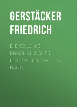 Friedrich Gerstäcker Die Colonie: Brasilianisches Lebensbild. Zweiter Band. обложка книги