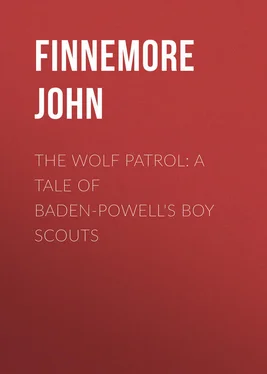 John Finnemore The Wolf Patrol: A Tale of Baden-Powell's Boy Scouts обложка книги