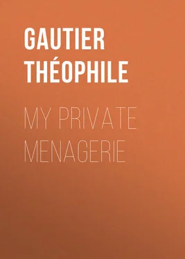 Théophile Gautier My Private Menagerie обложка книги