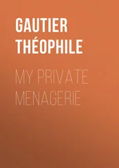 Théophile Gautier - My Private Menagerie