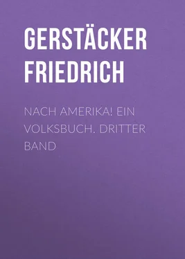 Friedrich Gerstäcker Nach Amerika! Ein Volksbuch. Dritter Band обложка книги