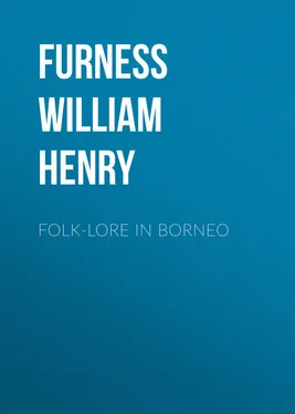 William Furness Folk-lore in Borneo обложка книги