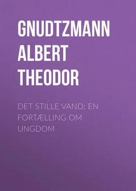 Albert Gnudtzmann Det stille Vand: En Fortælling om Ungdom обложка книги