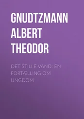Albert Gnudtzmann - Det stille Vand - En Fortælling om Ungdom