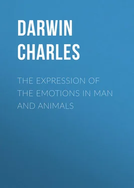 Charles Darwin The Expression of the Emotions in Man and Animals обложка книги