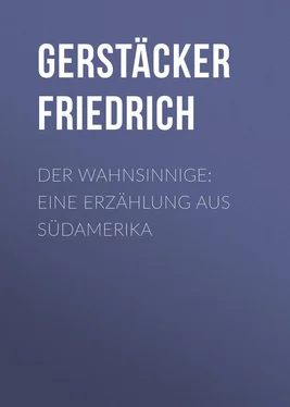 Friedrich Gerstäcker Der Wahnsinnige: Eine Erzählung aus Südamerika обложка книги