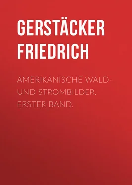 Friedrich Gerstäcker Amerikanische Wald- und Strombilder. Erster Band. обложка книги