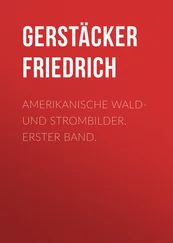 Friedrich Gerstäcker - Amerikanische Wald- und Strombilder. Erster Band.