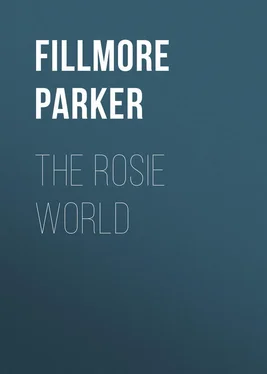 Parker Fillmore The Rosie World обложка книги