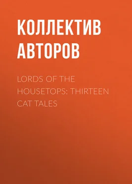 Коллектив авторов Lords of the Housetops: Thirteen Cat Tales обложка книги