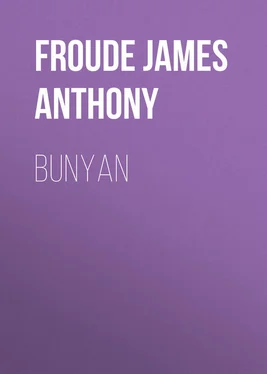 James Froude Bunyan обложка книги